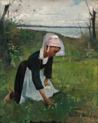 Breton lány virágot szed