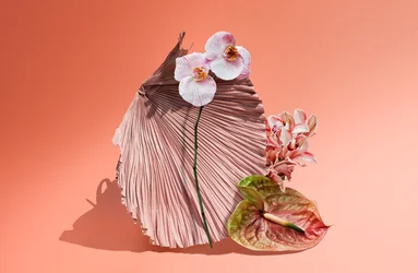 Ikebana 06, 2018 (fotózás)