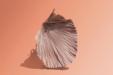 Ikebana 07, 2018 (fotózás)