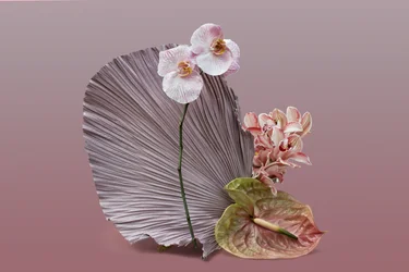 Ikebana 12, 2018 (fotózás)