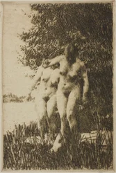 Égerfa