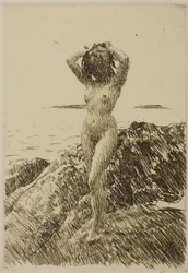 Hårtång (tengeri alga koszorú)