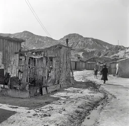 a "Shanghai kerület", Crotone