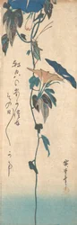 Grasshopper and Morning-glory Vine, kb. 1835., kb. 1835.