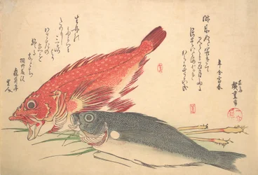 Isaki és Kasago Fish, az Uozukushi Every Variety of Fish sorozatból, 1830-as, 1830-as évek.