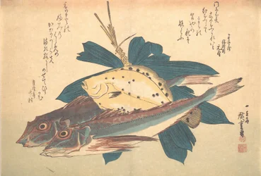 Kanagashira és Karei Fish, az Uozukushi Every Variety of Fish sorozatból, 1830-as, 1830-as évek.