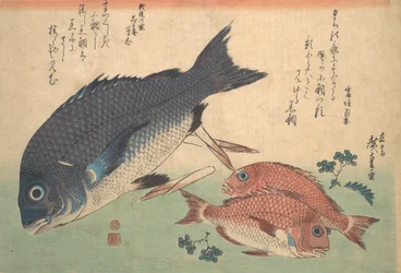Kurodai és Kodai hal bambuszrügyekkel és bogyókkal, az Uozukushi Every V... sorozatból, 1830-as évek.