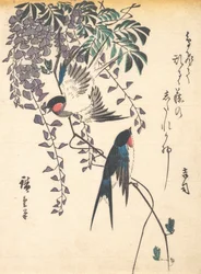 Fecske és Wisteria, 1840-es évek közepe, 1840-es évek közepe.