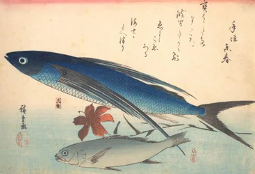Tobiuo és Ishimochi Fish, az Uozukushi Every Variety of Fish sorozatból, 1840-es, 1840-es évek.
