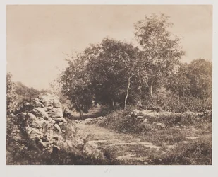 Cím nélküli Fontainbleau jelenete, c. 1853.
