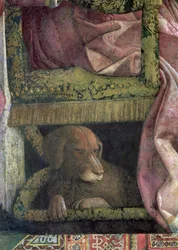 Rubino, Ludovico Gonzaga III mantovai őrgróf és családja kedvenc kutyája, a Camera degli Sposi vagy Camera Picta című műből, 1465-74, a 78461. számú freskó részlete