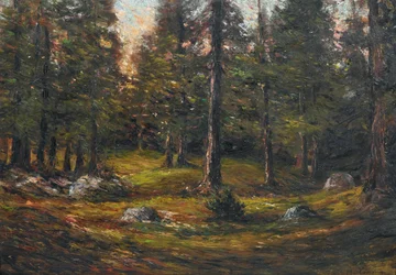 Andrea Tavernier A tisztás