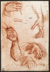 „Study of hands” rajzszén (szén)