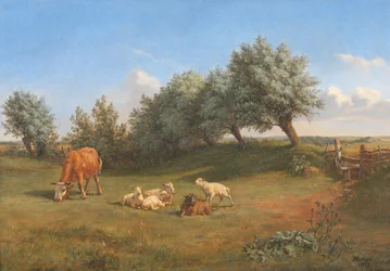Egy szárny