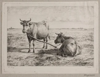 Két összekapcsolt sor