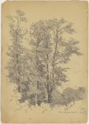 Oaks, Wolf Hill, Ulster megye