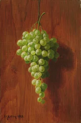 Szőlő (zöld), 1884