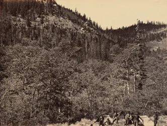 19. tábla. A fák között a Little Laramie folyó fejénél,1869 (fénykép)