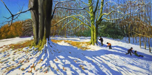 Top of Allestree Park, 2014 (olaj, vászon)