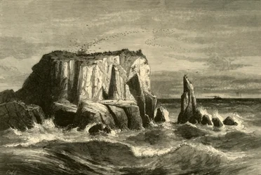 Coast Scene, Marin County, 1872.
