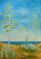 Agave az óceán partján