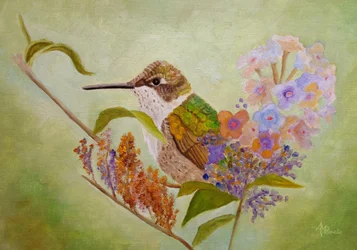 Színes kolibri-kert