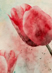 Élénk színekkel festett akvarell tulipánok