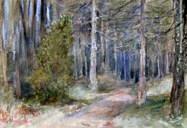 „In a Wood”, 1864-1930.