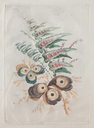 Új virágportfólió-csomag, amely ideális a tervezéshez és a festéshez: Virágos fantáziák, c. 179