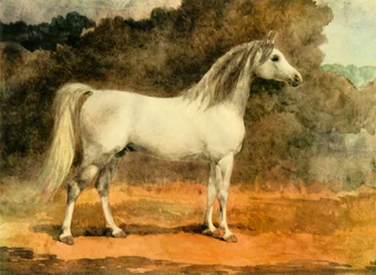 "Egy híres arab mén", 1870-es évek, 1944.