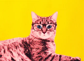 Élet a technicolorban, 2017
