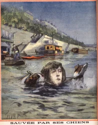 A Szajnában eleső nőt kutyái mentik meg Párizsban. Metszet a „” Le petit parisien””-ben 1910.08.14. Magángyűjtemény.