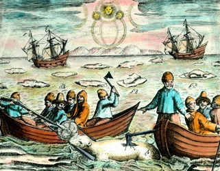 Jegesmedve vadászat helyszíne Kanadában. 18. századi metszet Magángyűjtemény