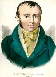 Francois Xavier Bichat (1771-1802) francia orvos portréja. századi metszet. Magángyűjtemény