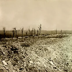 Sztereoszkópikus üveglap az első világháborúról (1., Iere