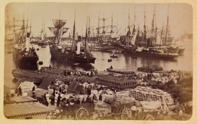 Marseille városa és környéke 1885-1890 körül: Bassin de la Joliette, macskák rakománybeszállása, Magángyűjtemény