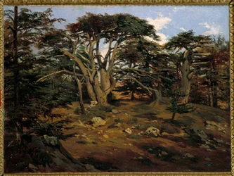A régi cédrusok a Libanon-hegyen, Boumana Antoine Alphonse Montfort festménye (1802-1884) 19. századi nap. 0,32x0,44 m Párizs, Orsay Múzeum