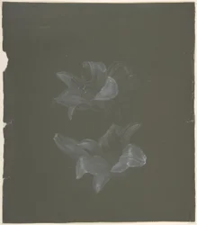 Virágos Design
