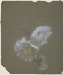 Virágos Design