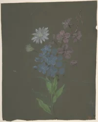 Virágos Design