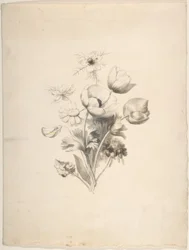 Virágos Design