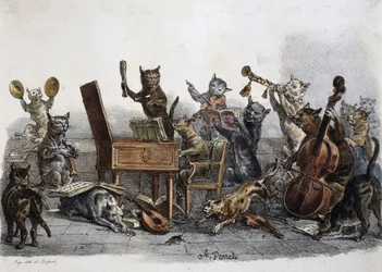 Amatőr koncert, hangszeren játszó macskák karikatúrája, Carle Vernet (1758-1836), francia metszet