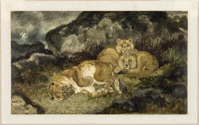 Oroszlánlány és kölykei, 1832 körül (akvarell és grafit, elefántcsont vattapapírra)