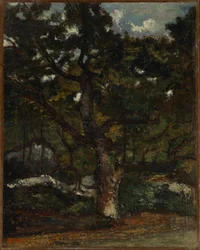 Telek a fontainebleau-i erdőben