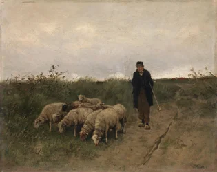 Pásztor és juhok