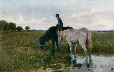 Lovak itatása, 1871, 1912.
