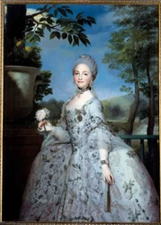 Mária Lujza pármai portréja, Asztúria hercegnője (1751-1819) Anton Raphael Mengs (1728-1779) festménye (ec.all.) 18. századi Madrid, Prado Múzeum