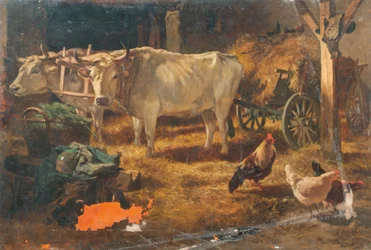 Ökrök az istállóban