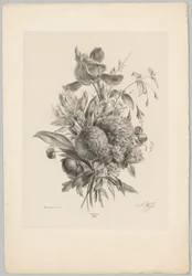 Szegfű és liliomok Flower and Fruit Studies (...) 10. epizód (sorozat címe)