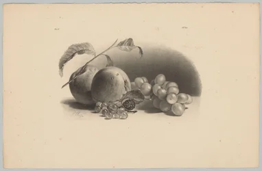 Alma, bogyós gyümölcsök, szeder és szőlő Flower and Fruit Studies (...) 3. epizód (sorozat címe)